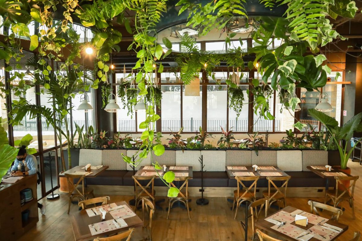 Terraza techada de Tagers Paseo Angelópolis con plantas colgantes