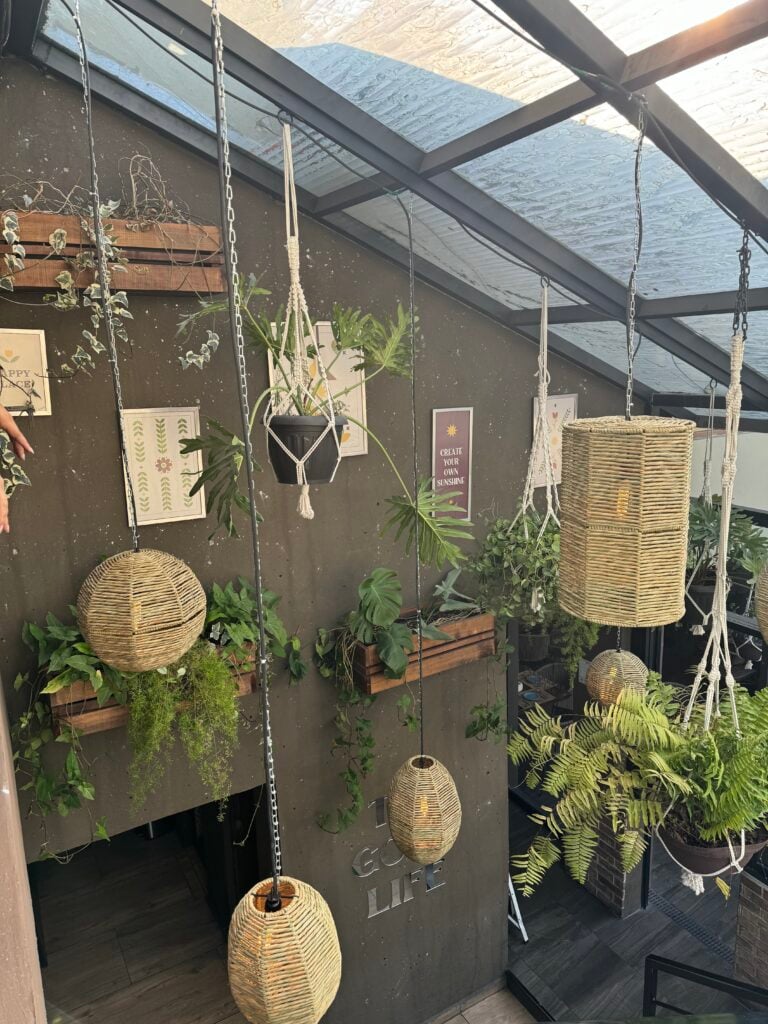 Patio de Tagers 5 Sur con vegetación y lámparas de fibras naturales