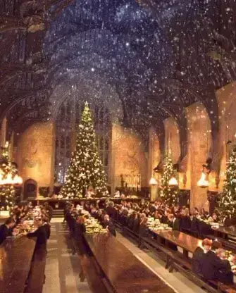 Peliculas navideñas que no son navideñas- Harry Potter