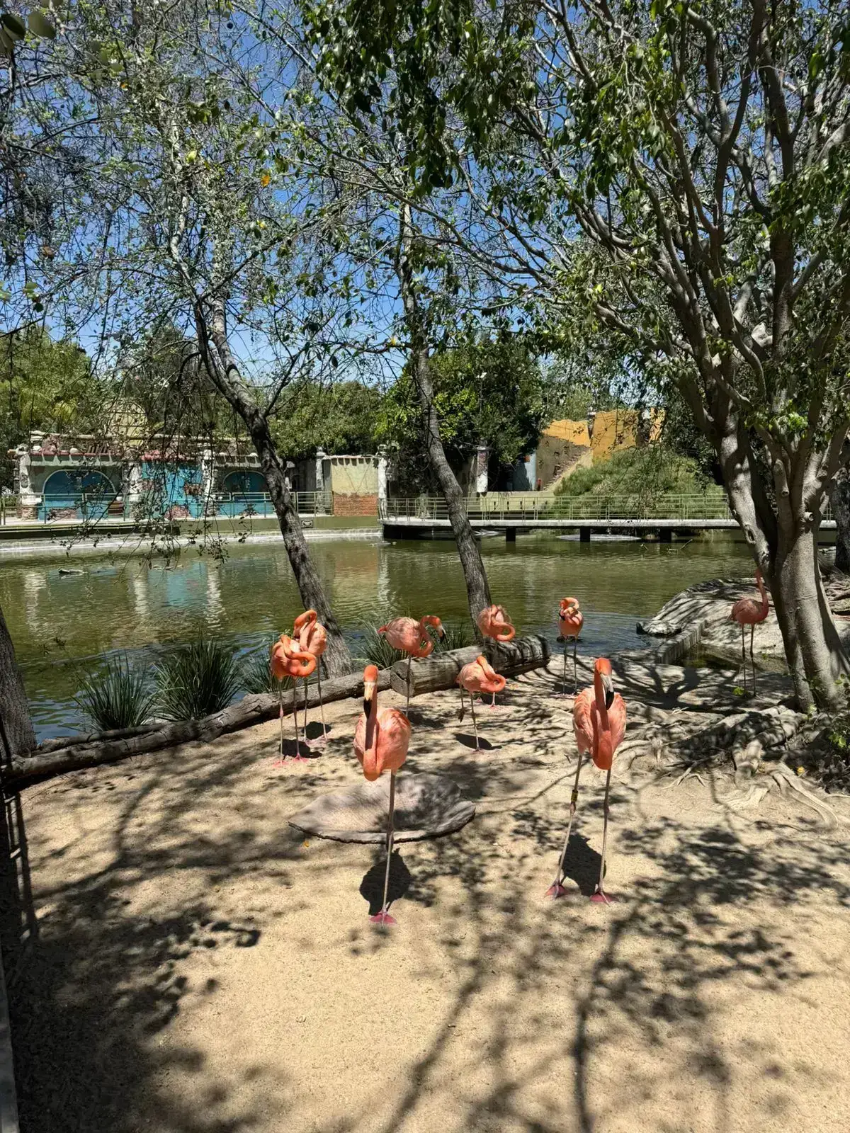 Vacaciones de Semana Santa con Niños Pequeños- Arboterra