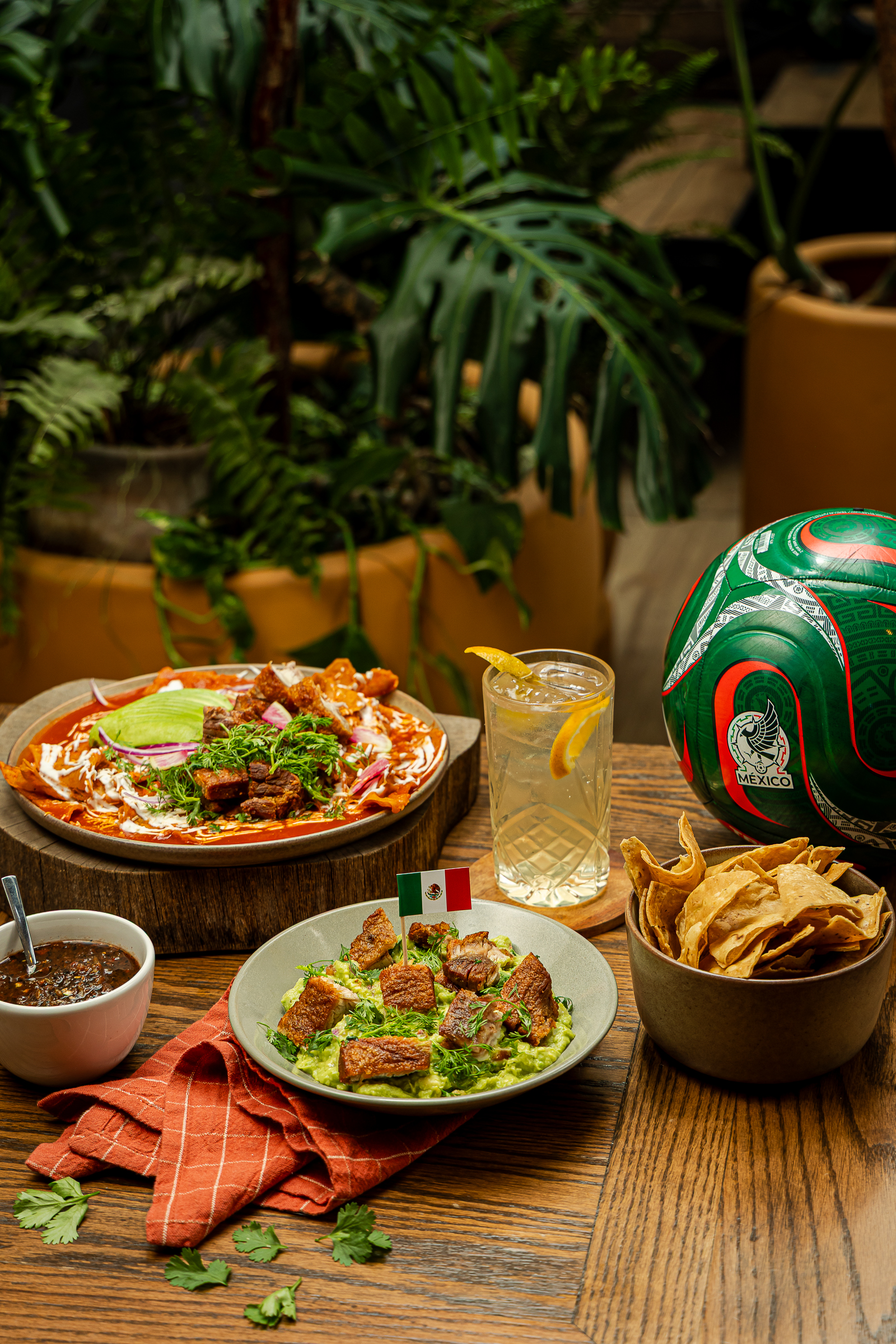 Platillos de la Selección Tagers, temporada de fútbol