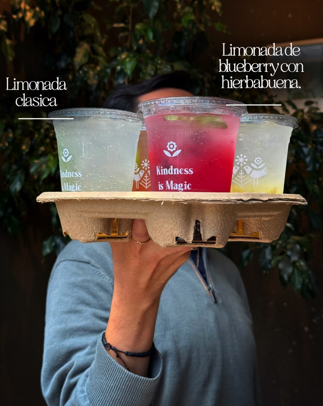 Nuestras limonadas traen todas las summer vibes 🍋✨