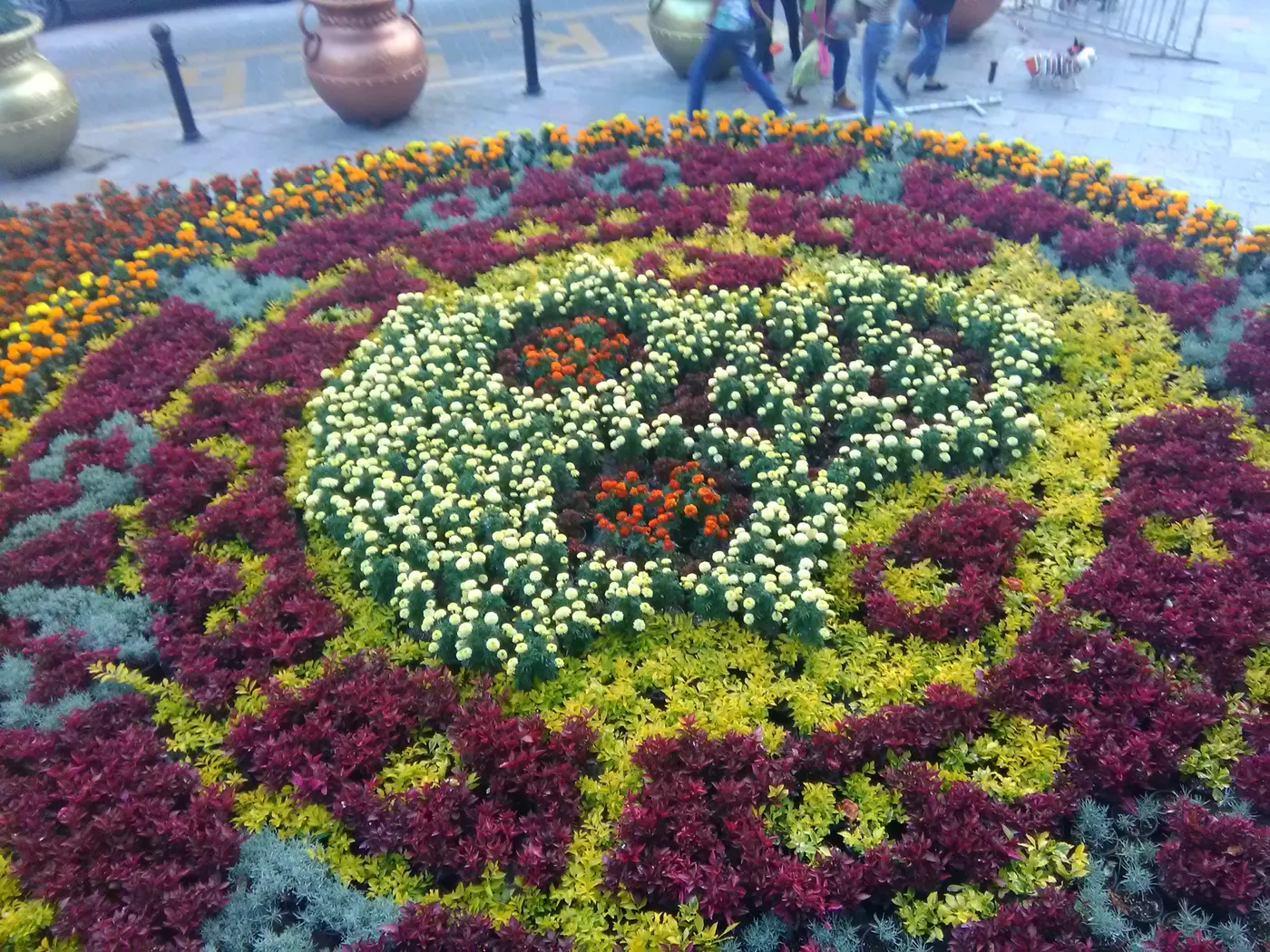 Tapete de cempasúchil y plantas de follaje en una calle de Atlixco, Puebla, en el Día de Muertos de 2017