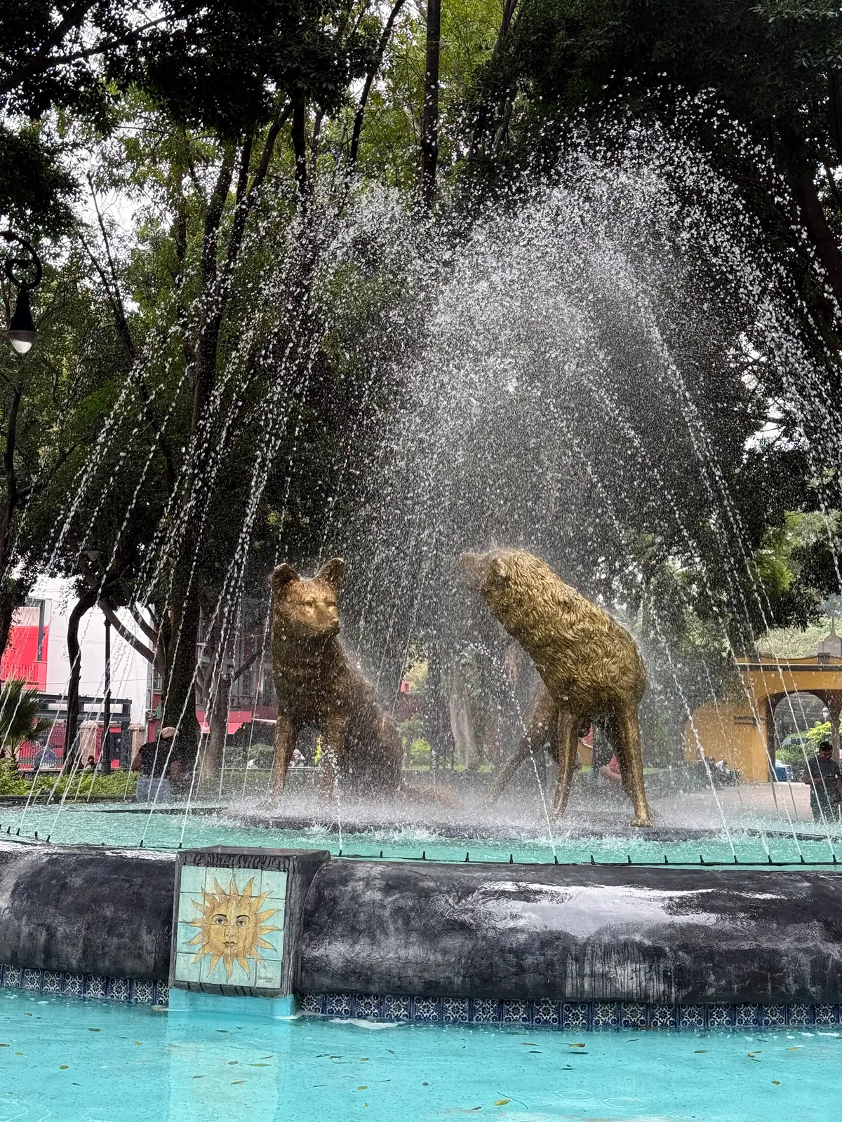 La Fuente de los Coyotes en el Jardín Centenario: dos esculturas de coyotes entre chorros de agua, con árboles y una arcada amarilla al fondo