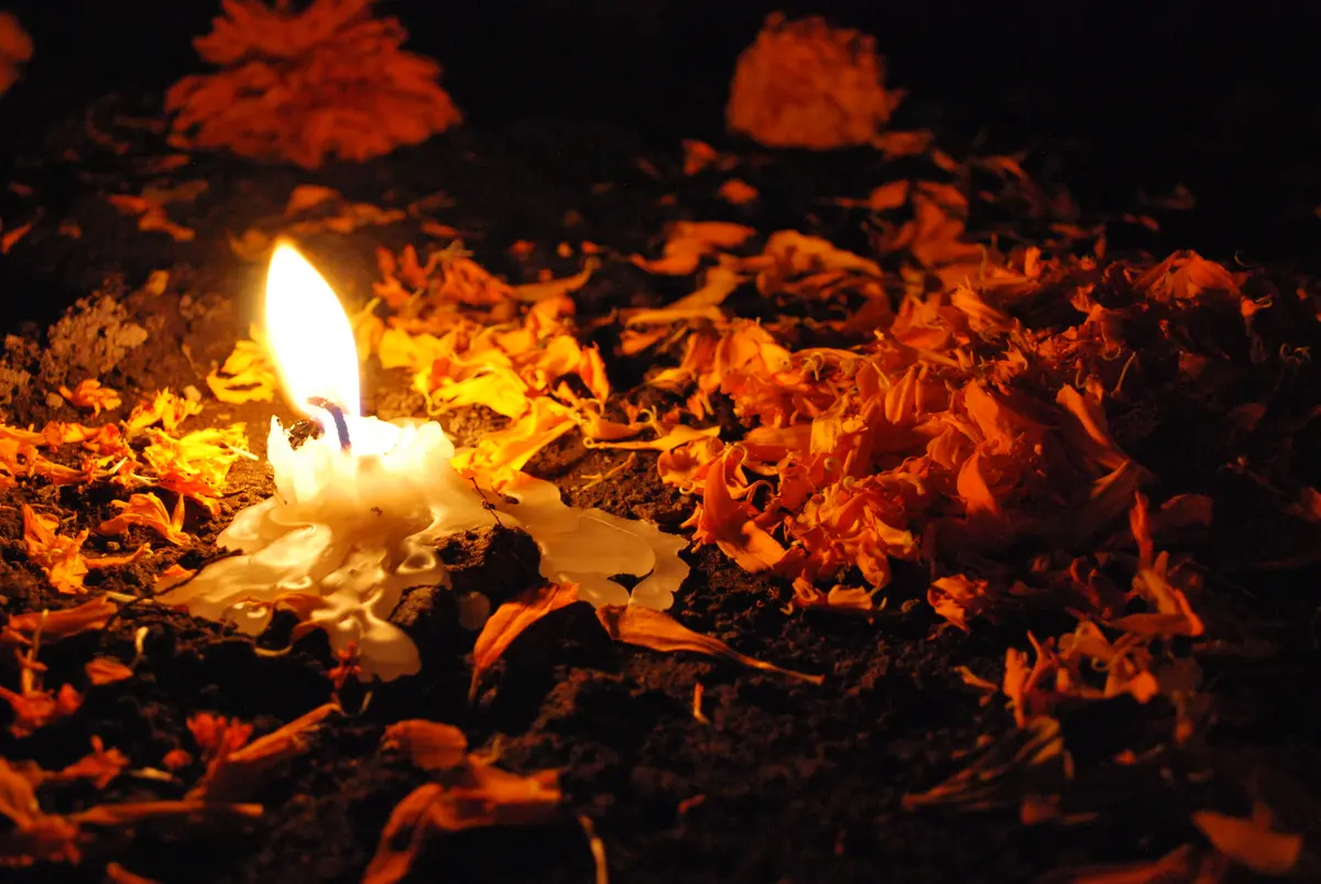 Una vela encendida entre pétalos de cempasúchil de noche, en San Andrés Mixquic