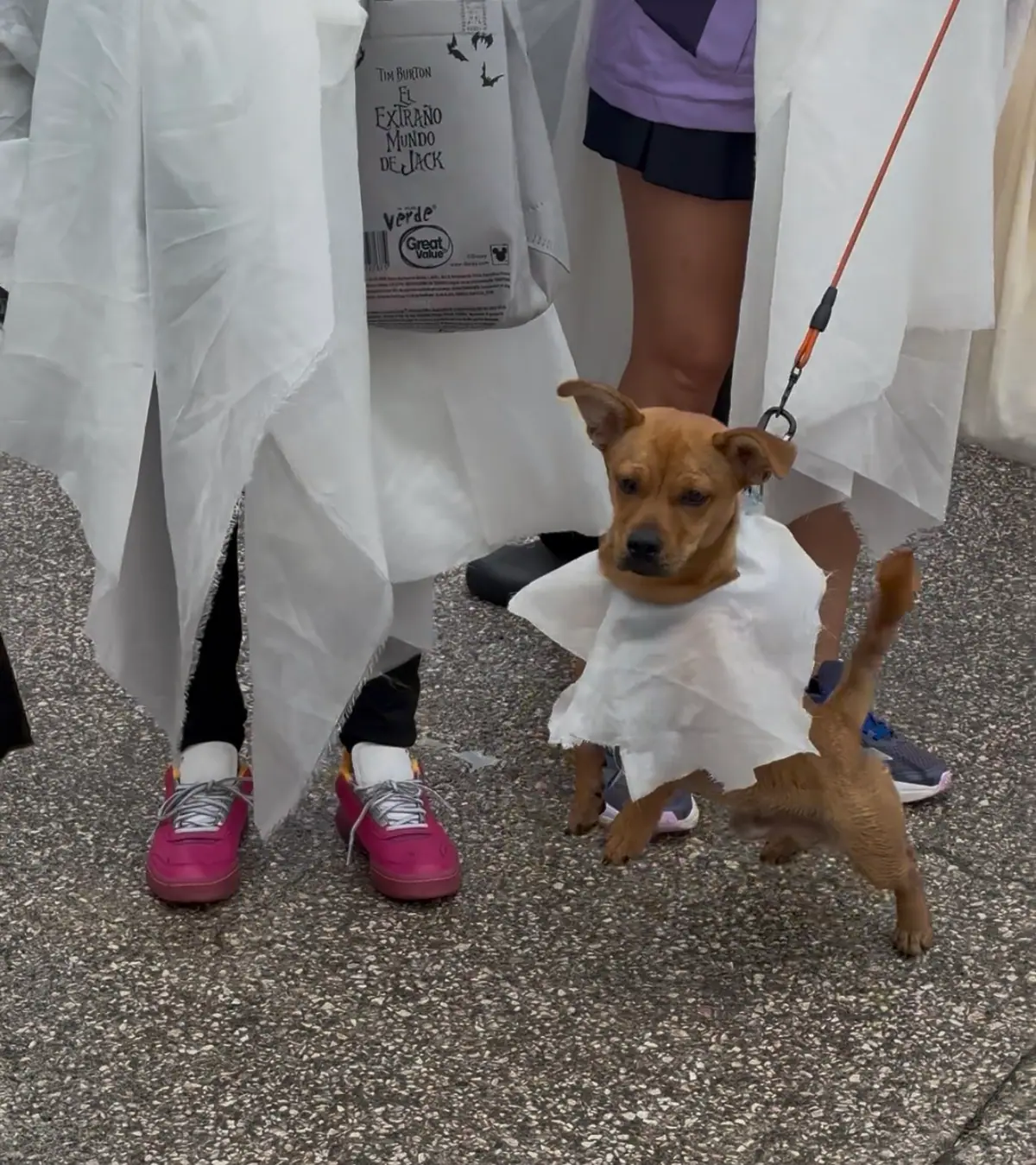 Perro pequeño disfrazado de fantasma entre corredores con disfraz de fantasma