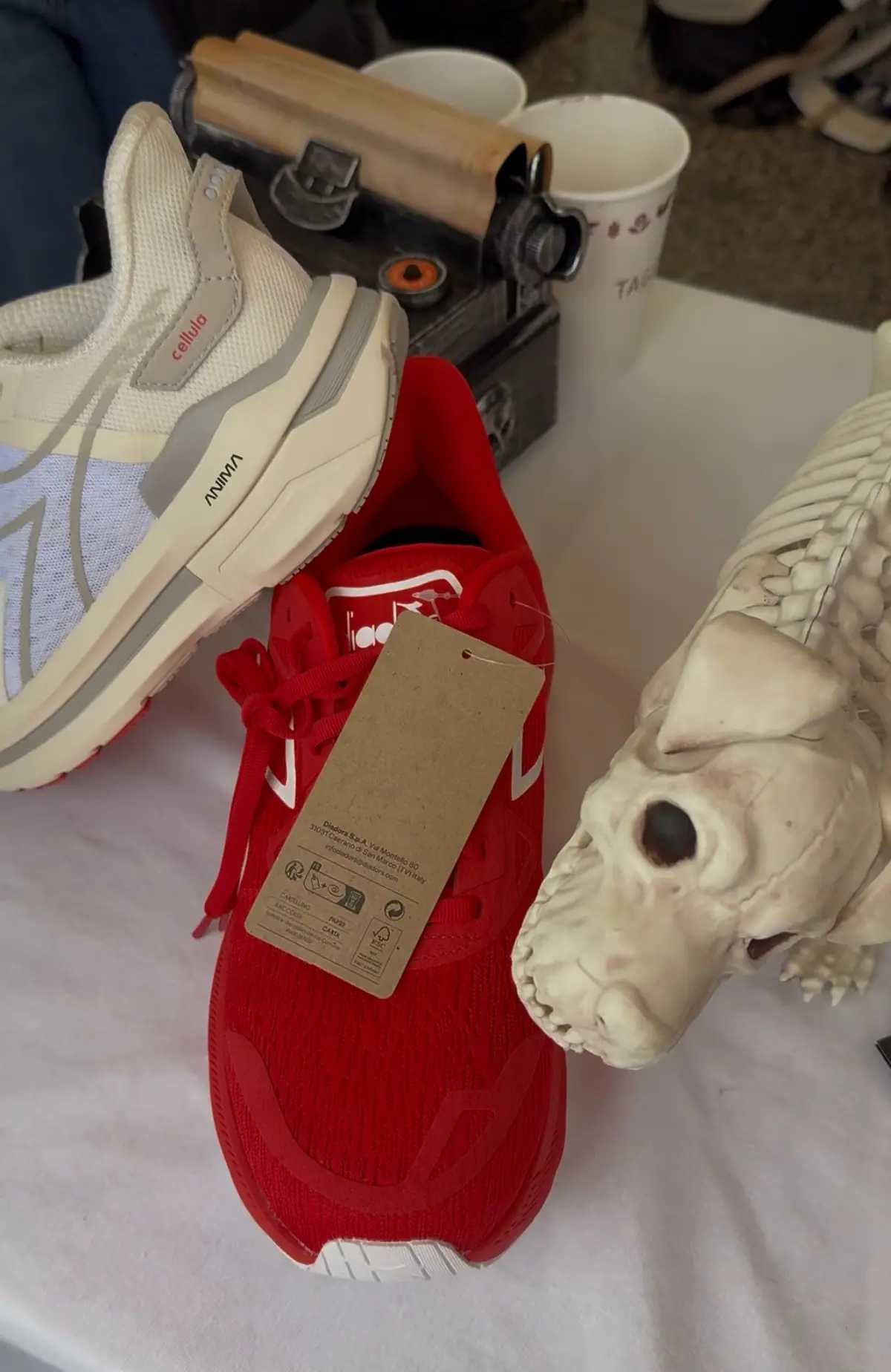 Tenis para correr en exhibición junto a una calavera decorativa