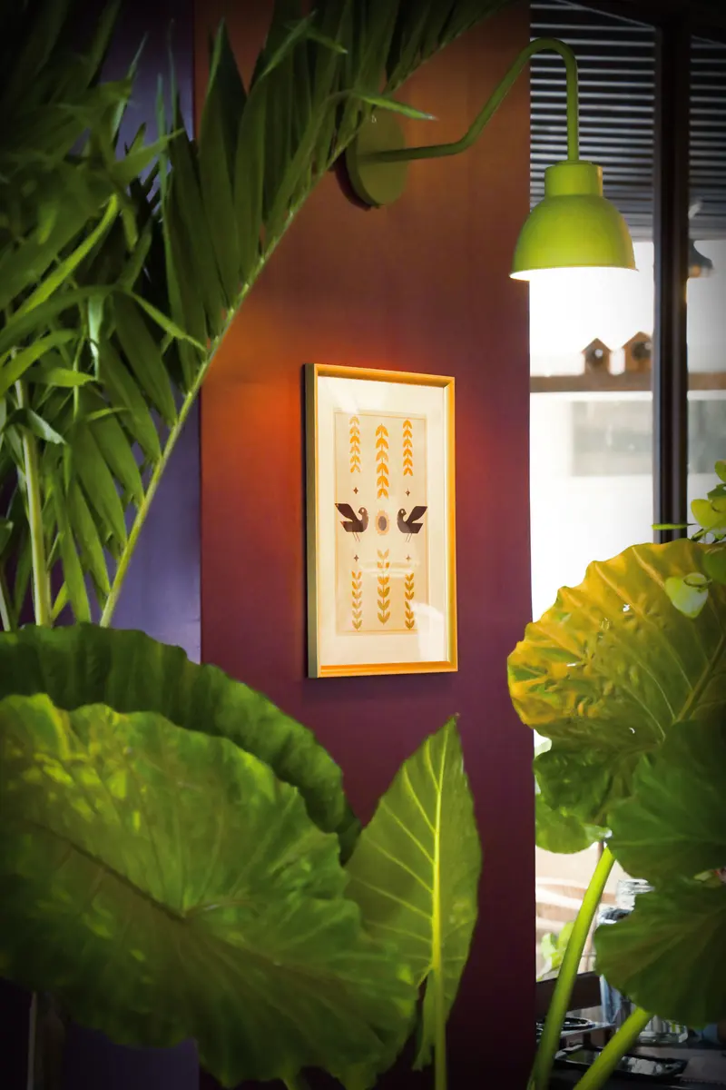 Rincón con pared vino y hojas de monstera en Tagers Paseo Angelópolis